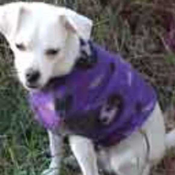 😻DELETING TODAY CLOSING FINAL$ DROP😻Size A Fleece Dog pullover sweater - Picture 6 of 6